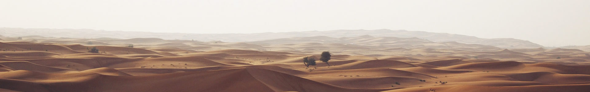 Ĵƺ޹˾